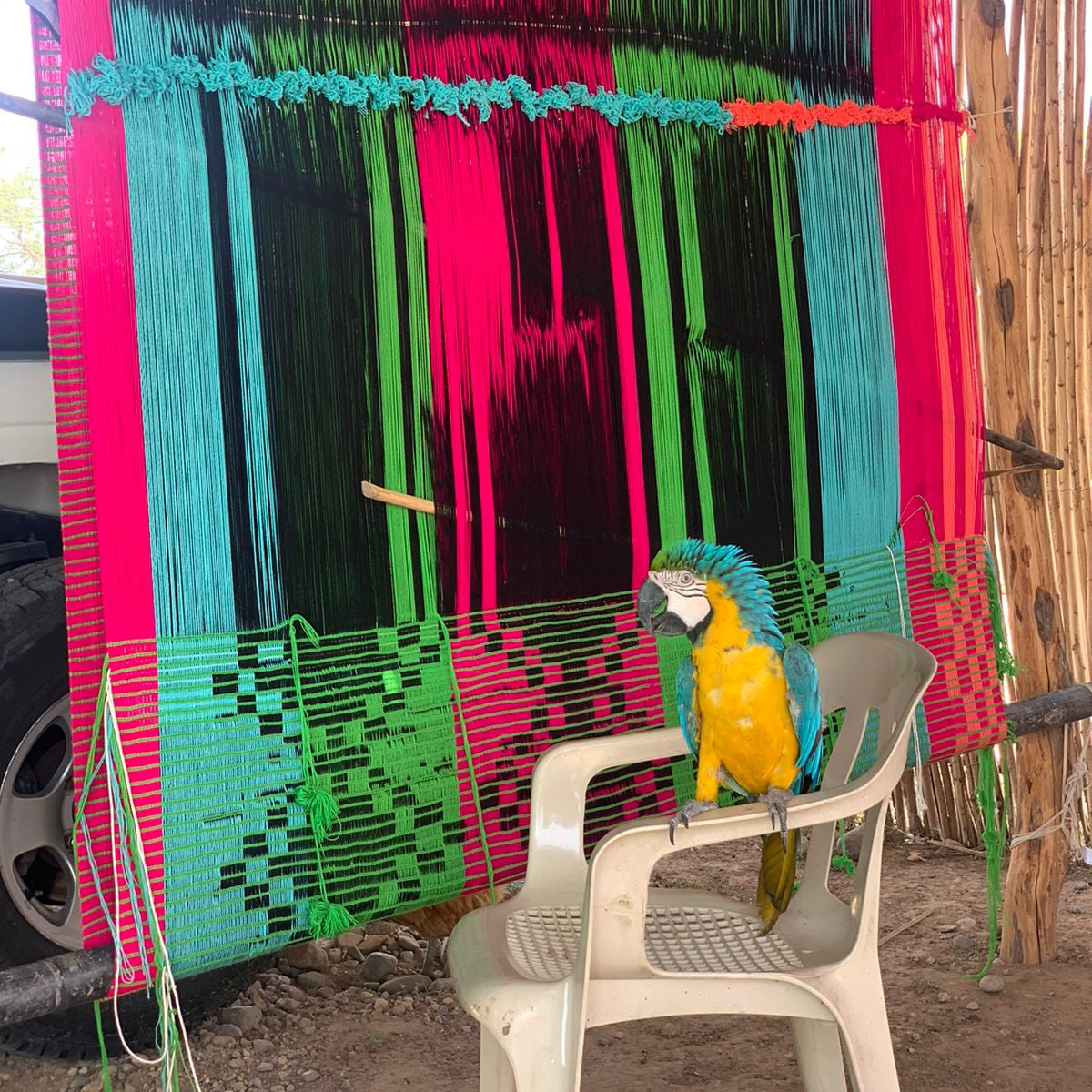 telaio verticale per elaborazione amaca wayuu chinchorro