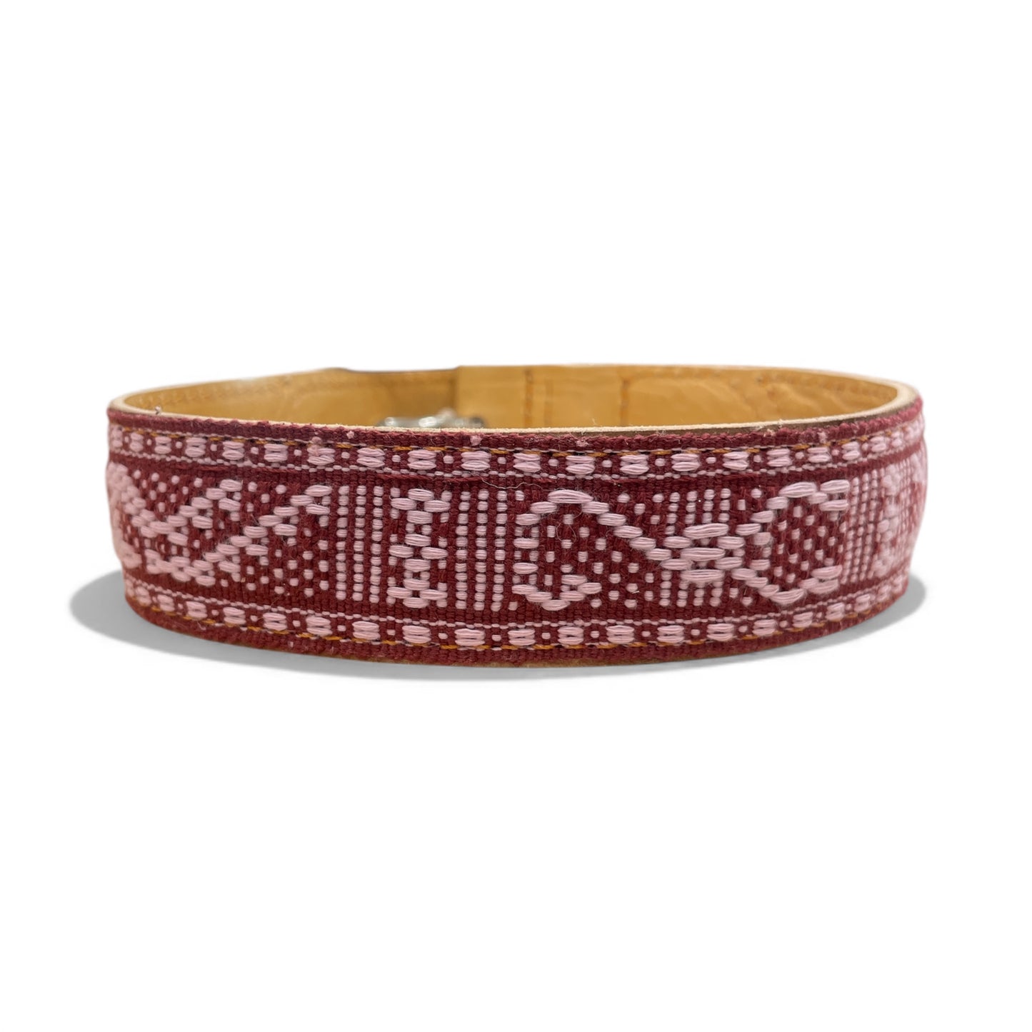 collare animale domestico