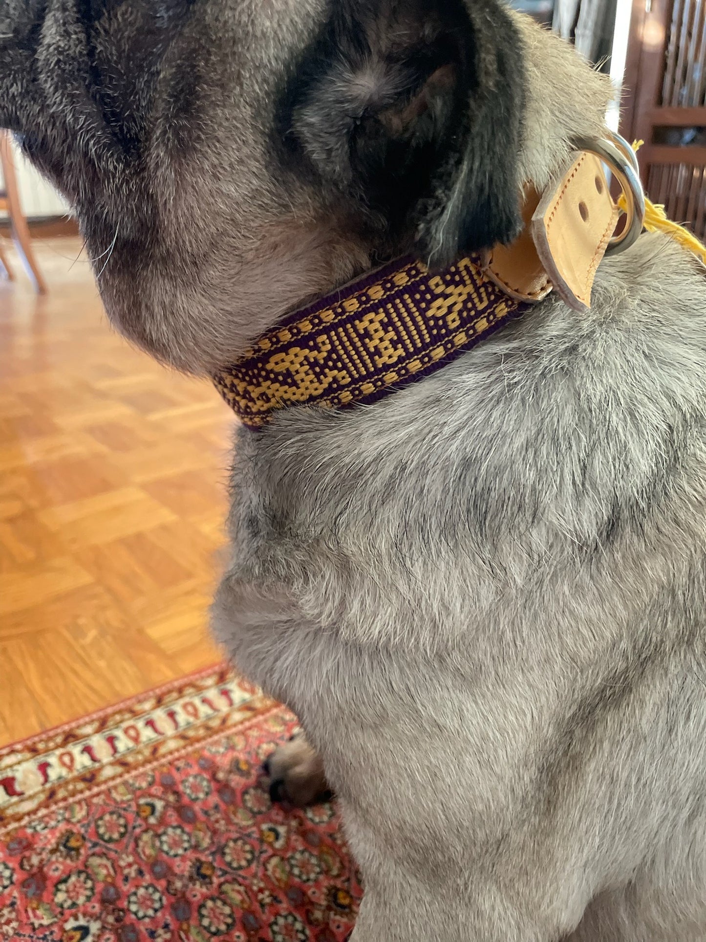 cane con collare artigianale pelle oaxaca