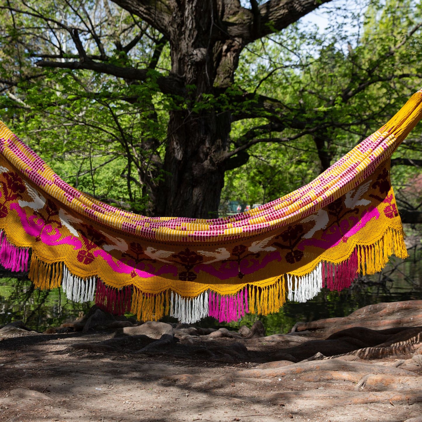 Amaca Chinchorro Wayuù Deluxe senape fatta a mano artigianato colombiano D.O.P.
Amaca Chinchorro Wayuù Deluxe senape fatta a mano artigianato colombiano D.O.P.