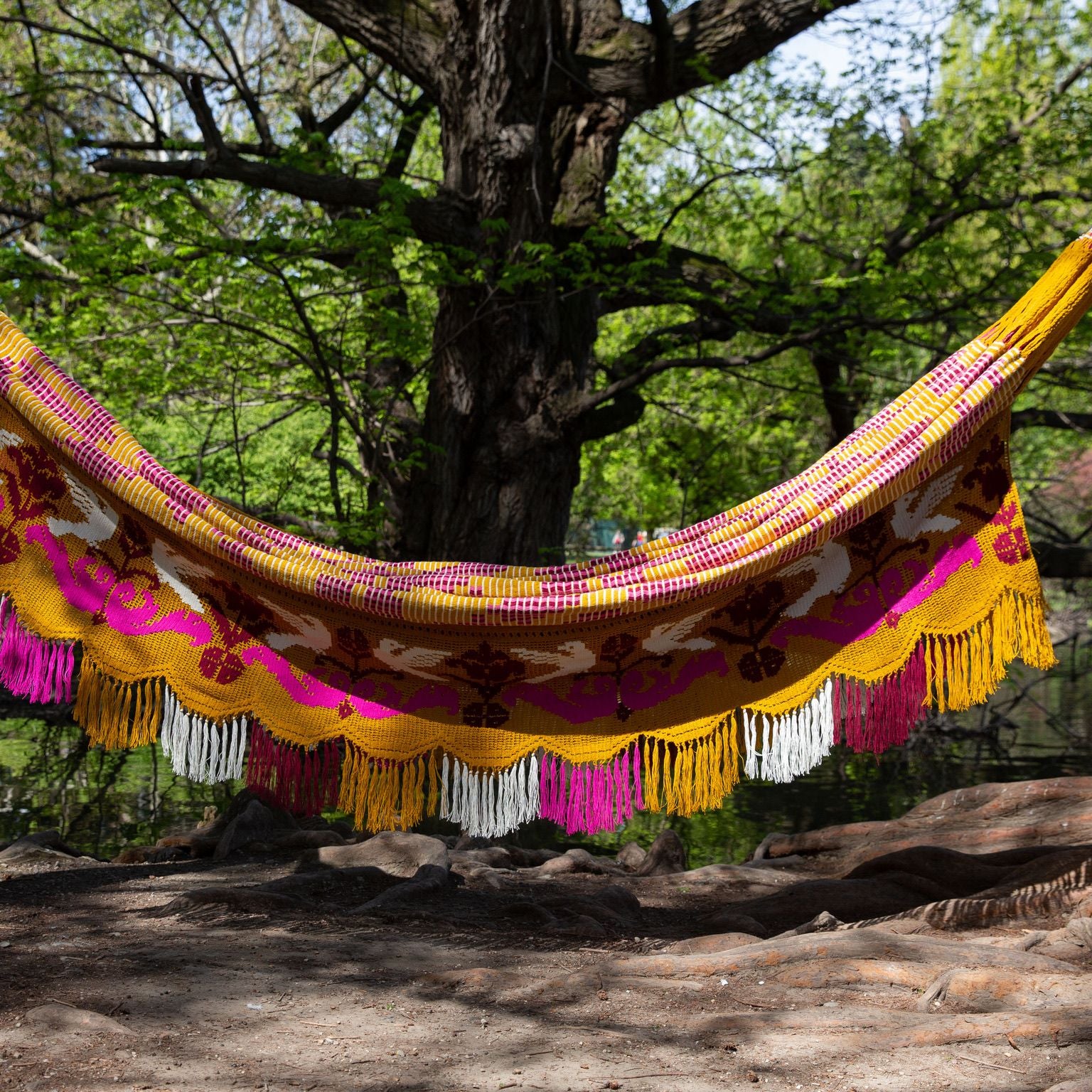 Amaca Chinchorro Wayuù Deluxe senape fatta a mano artigianato colombiano D.O.P.
Amaca Chinchorro Wayuù Deluxe senape fatta a mano artigianato colombiano D.O.P.